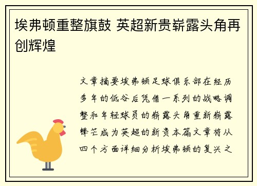 埃弗顿重整旗鼓 英超新贵崭露头角再创辉煌